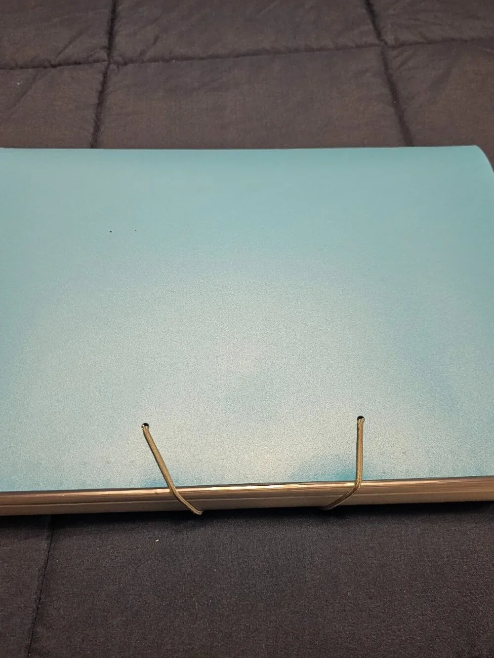 13 pocket file 1
